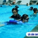 Khóa Học Bơi Hồ Bơi Tây Thạnh Uy Tín, Chuyên Nghiệp